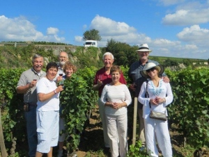 Savoir Vivre winetasting in the vineyard